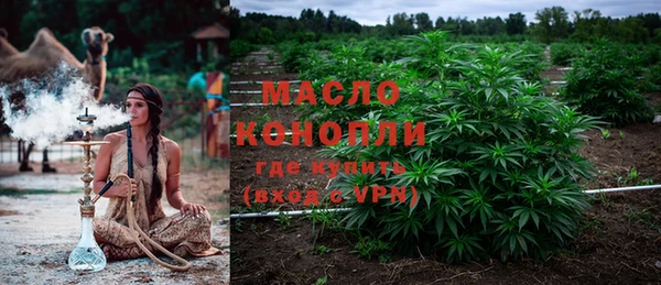 стафф Медногорск