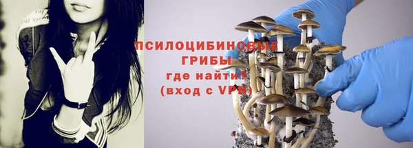 соль курить ск Медвежьегорск