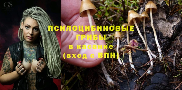 mix Мегион