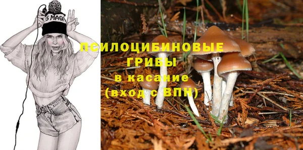 стафф Медногорск