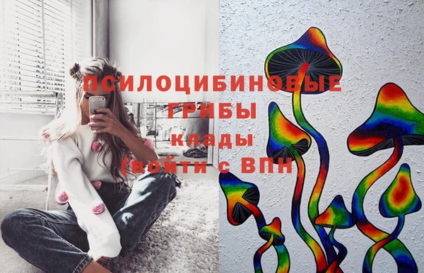 соль курить ск Медвежьегорск