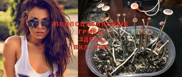 соль курить ск Медвежьегорск
