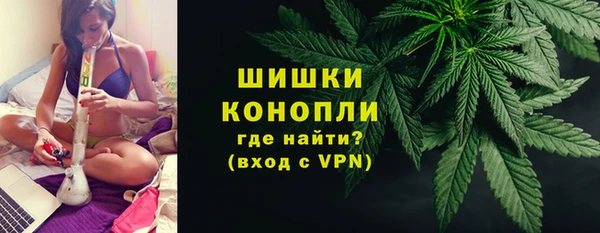 стафф Медногорск