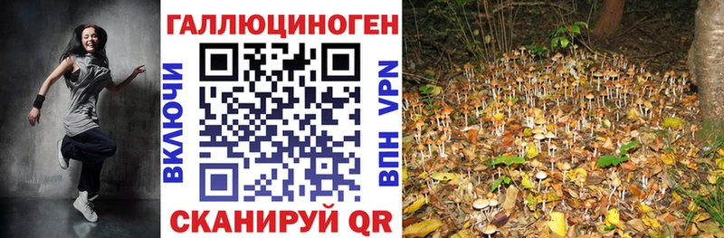 Псилоцибиновые грибы Cubensis  купить   Электроугли 